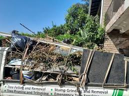 Best Scrap Metal Removal  in Madrid, IA
