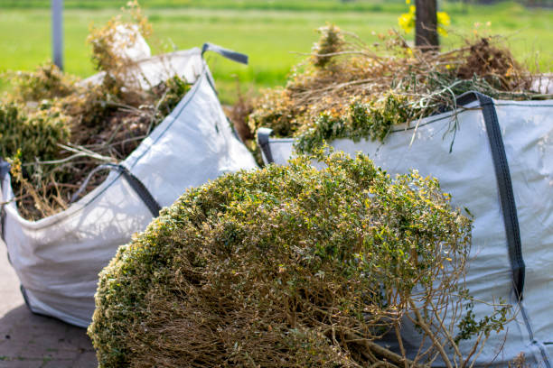 Best Garage Cleanout  in Madrid, IA